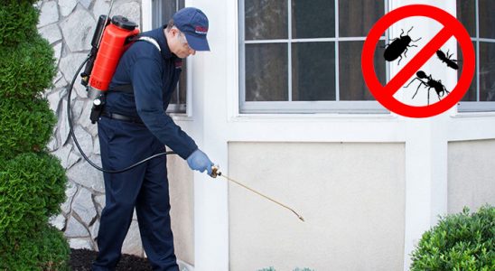Karpuzlu Karınca İlaçlama böcek ilaçlama ve haşere kontrolü — ilaclama-tr.com
